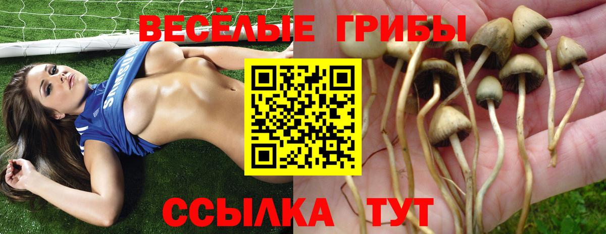 Галлюциногенные грибы мицелий  Вход с VPN  Мичуринск 