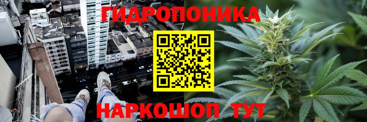 МАРИХУАНА Ganja  Канабис планчик  Конопля тримм  Марихуана сатива  Вход с VPN  Мичуринск 